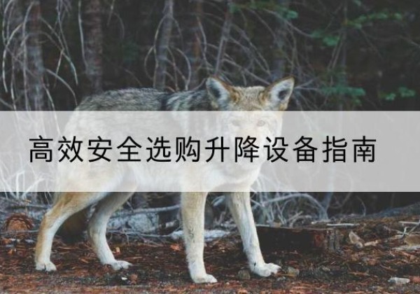 海勃湾升降货梯厂家推荐-*安全选购升降设备指南