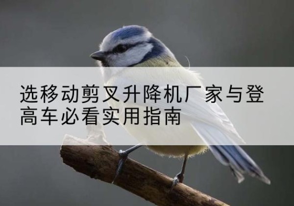 海勃湾电动升降机厂家-选移动剪叉升降机厂家与登高车必看实用指南